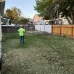 All Pro Tree Service professionals trimming a large oak tree in a residential backyard job complete