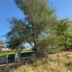 CjMKMVNuYXBjaGF0LzEzLjYuMC40MSAoaVBob25lMTYsMjsgaU9TIDE3LjYuMTsgZ3ppcCk=