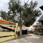 CjYKMlNuYXBjaGF0LzEzLjEzLjAuNDAgKGlQaG9uZTE2LDI7IGlPUyAxNy42LjE7IGd6aXApIAI=