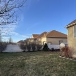 Shrub Trimming or Removal