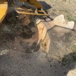 CjUKMVNuYXBjaGF0LzEzLjM0LjEuMCAoaVBob25lMTYsMjsgaU9TIDE4LjMuMjsgZ3ppcCkgAg==