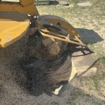 Stump Grinding
